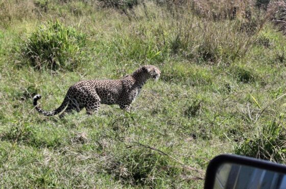 10 Days Semi -Luxurious and Scenic Kenya Safari