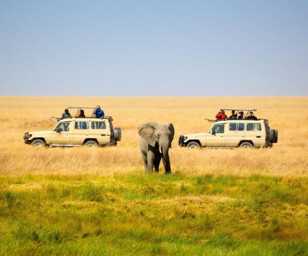 3 Days Masai Mara 4×4 Private Lodge Safari
